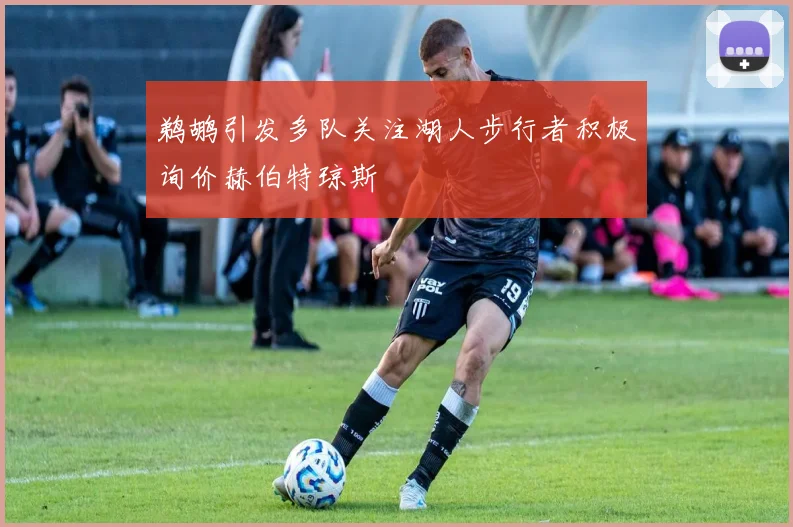 鹈鹕引发多队关注湖人步行者积极询价赫伯特琼斯