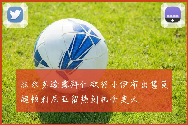 法尔克透露拜仁欲将小伊布出售英超帕利尼亚留热刺机会更大