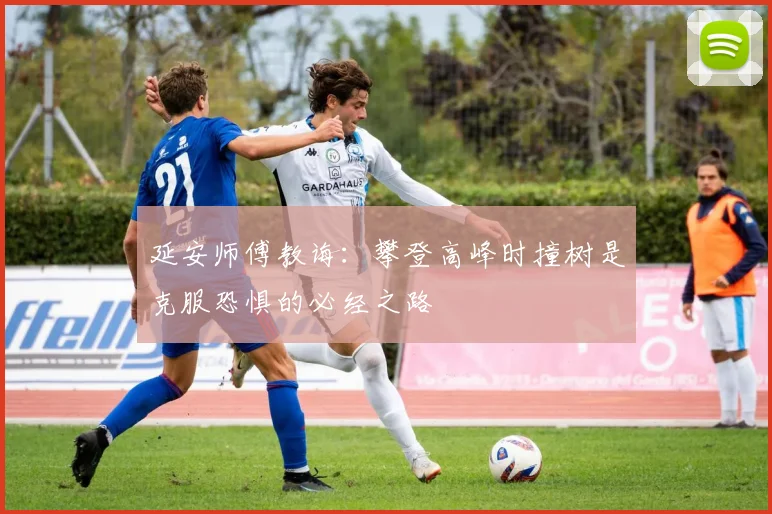 延安师傅教诲：攀登高峰时撞树是克服恐惧的必经之路
