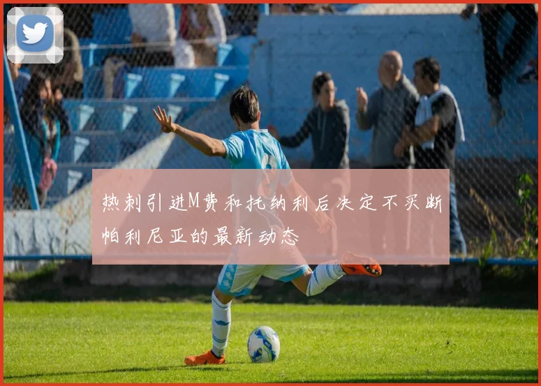 热刺引进M费和托纳利后决定不买断帕利尼亚的最新动态