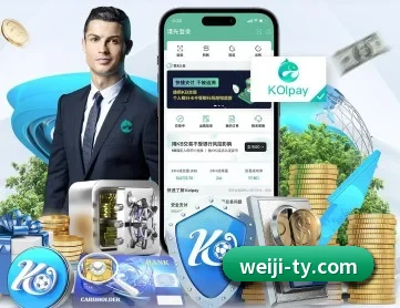 维基体育 APP 深度功能